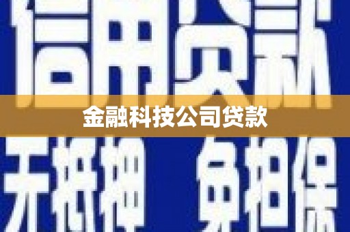 杜集金融科技公司贷款