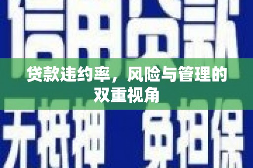 杜集贷款违约率，风险与管理的双重视角