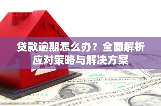 杜集贷款逾期怎么办？全面解析应对策略与解决方案