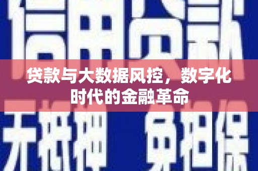 杜集贷款与大数据风控，数字化时代的金融革命