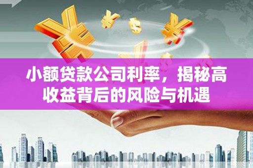 杜集小额贷款公司利率，揭秘高收益背后的风险与机遇
