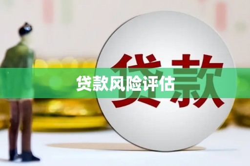 杜集贷款风险评估