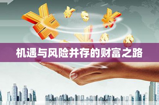 杜集机遇与风险并存的财富之路