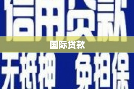 杜集国际贷款