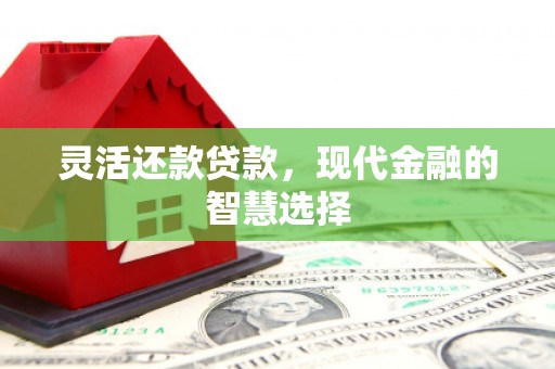 杜集灵活还款贷款，现代金融的智慧选择
