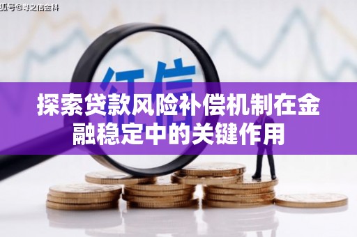 杜集探索贷款风险补偿机制在金融稳定中的关键作用