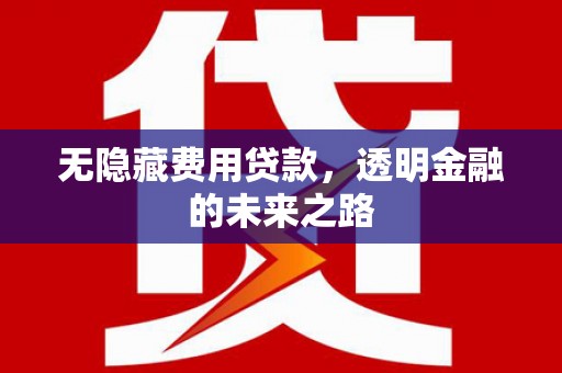 杜集无隐藏费用贷款，透明金融的未来之路