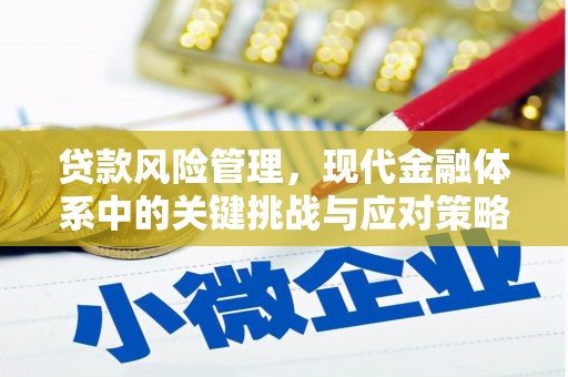 杜集贷款风险管理，现代金融体系中的关键挑战与应对策略