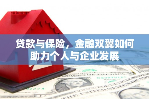 杜集贷款与保险，金融双翼如何助力个人与企业发展