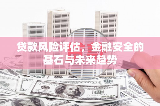 杜集贷款风险评估，金融安全的基石与未来趋势