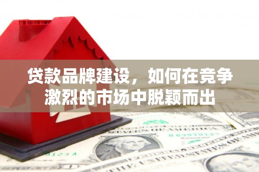 杜集贷款品牌建设，如何在竞争激烈的市场中脱颖而出