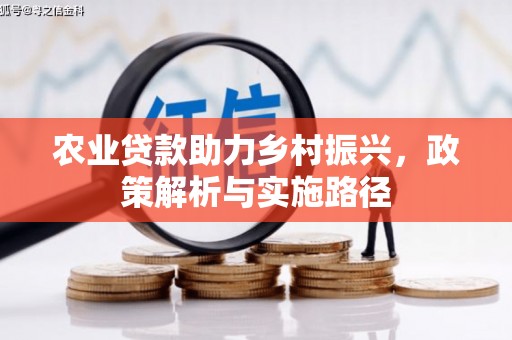 杜集农业贷款助力乡村振兴，政策解析与实施路径