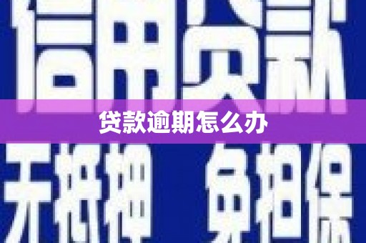 杜集贷款逾期怎么办