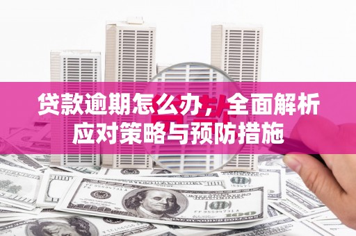 杜集贷款逾期怎么办，全面解析应对策略与预防措施