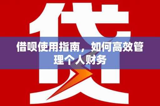 杜集借呗使用指南，如何高效管理个人财务