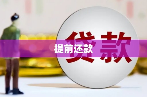 杜集提前还款