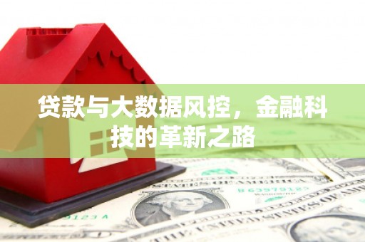 杜集贷款与大数据风控，金融科技的革新之路