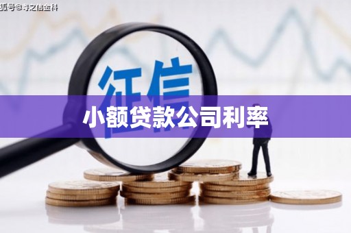 杜集小额贷款公司利率