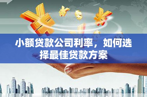 杜集小额贷款公司利率，如何选择最佳贷款方案