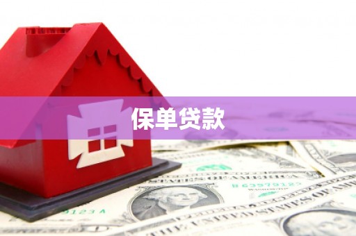 杜集保单贷款