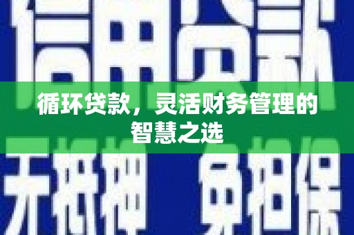 杜集循环贷款，灵活财务管理的智慧之选
