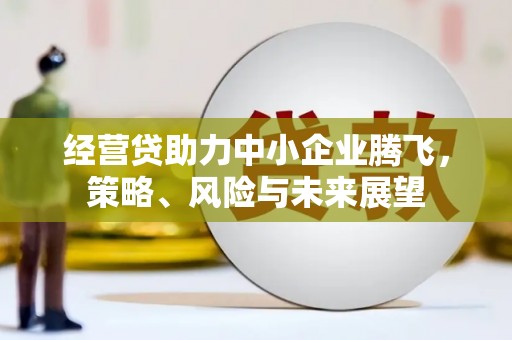 杜集经营贷助力中小企业腾飞，策略、风险与未来展望