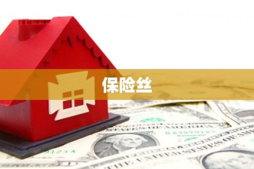 杜集保险丝