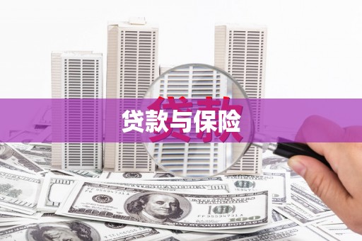 杜集贷款与保险