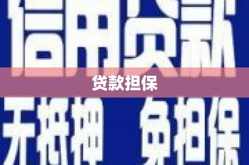 杜集贷款担保