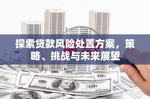 杜集探索贷款风险处置方案，策略、挑战与未来展望