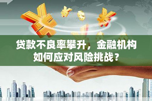 杜集贷款不良率攀升，金融机构如何应对风险挑战？