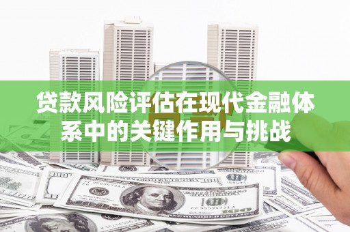 杜集贷款风险评估在现代金融体系中的关键作用与挑战