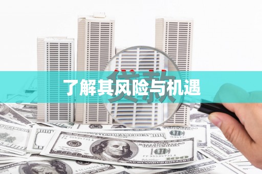 杜集了解其风险与机遇