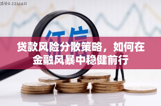 杜集贷款风险分散策略，如何在金融风暴中稳健前行