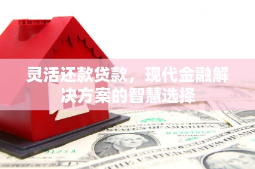杜集灵活还款贷款，现代金融解决方案的智慧选择