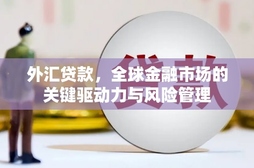 杜集外汇贷款，全球金融市场的关键驱动力与风险管理