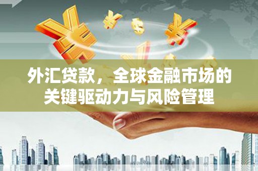 杜集外汇贷款，全球金融市场的关键驱动力与风险管理