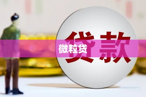 杜集微粒贷