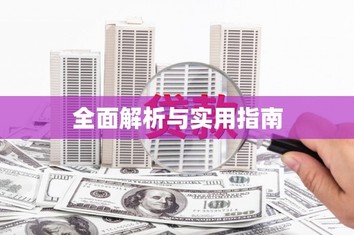 杜集全面解析与实用指南