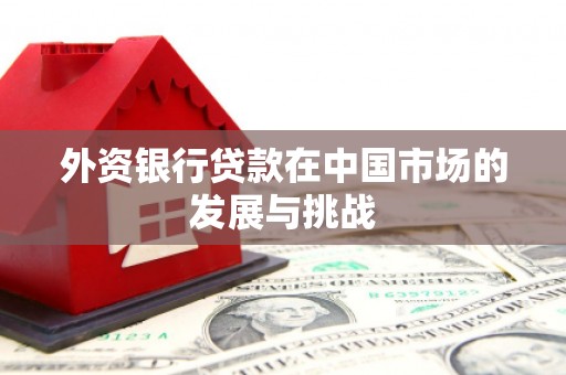 杜集外资银行贷款在中国市场的发展与挑战
