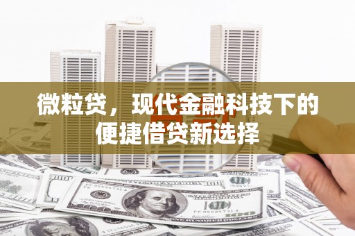 杜集微粒贷，现代金融科技下的便捷借贷新选择