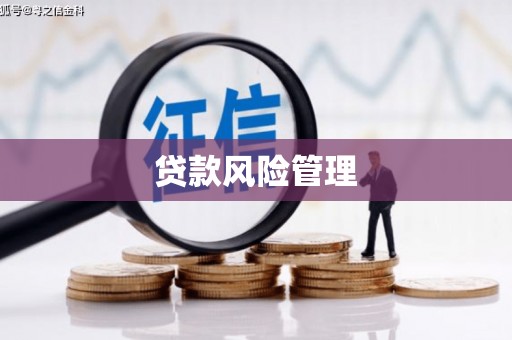 杜集贷款风险管理