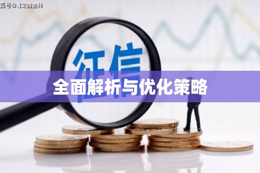 杜集全面解析与优化策略