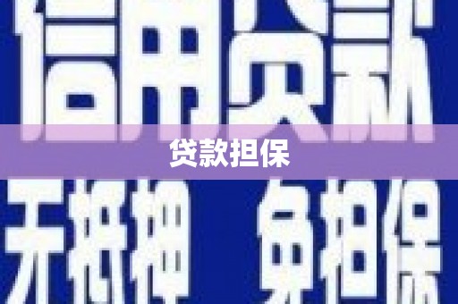 杜集贷款担保