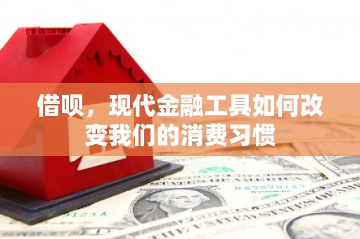 杜集借呗，现代金融工具如何改变我们的消费习惯