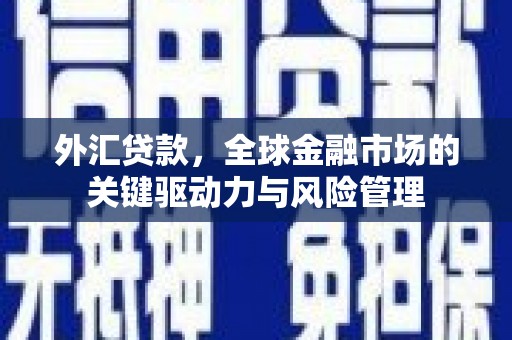 杜集外汇贷款，全球金融市场的关键驱动力与风险管理