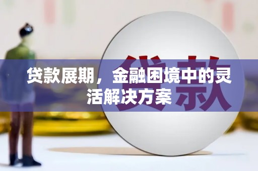 杜集贷款展期，金融困境中的灵活解决方案