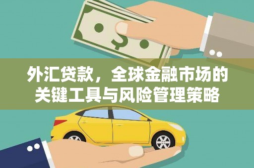 杜集外汇贷款，全球金融市场的关键工具与风险管理策略