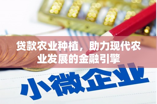 杜集贷款农业种植，助力现代农业发展的金融引擎