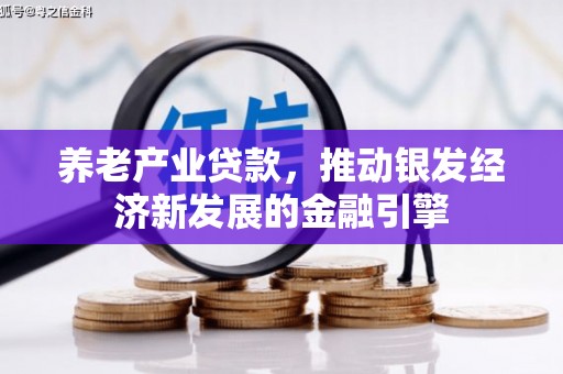杜集养老产业贷款，推动银发经济新发展的金融引擎